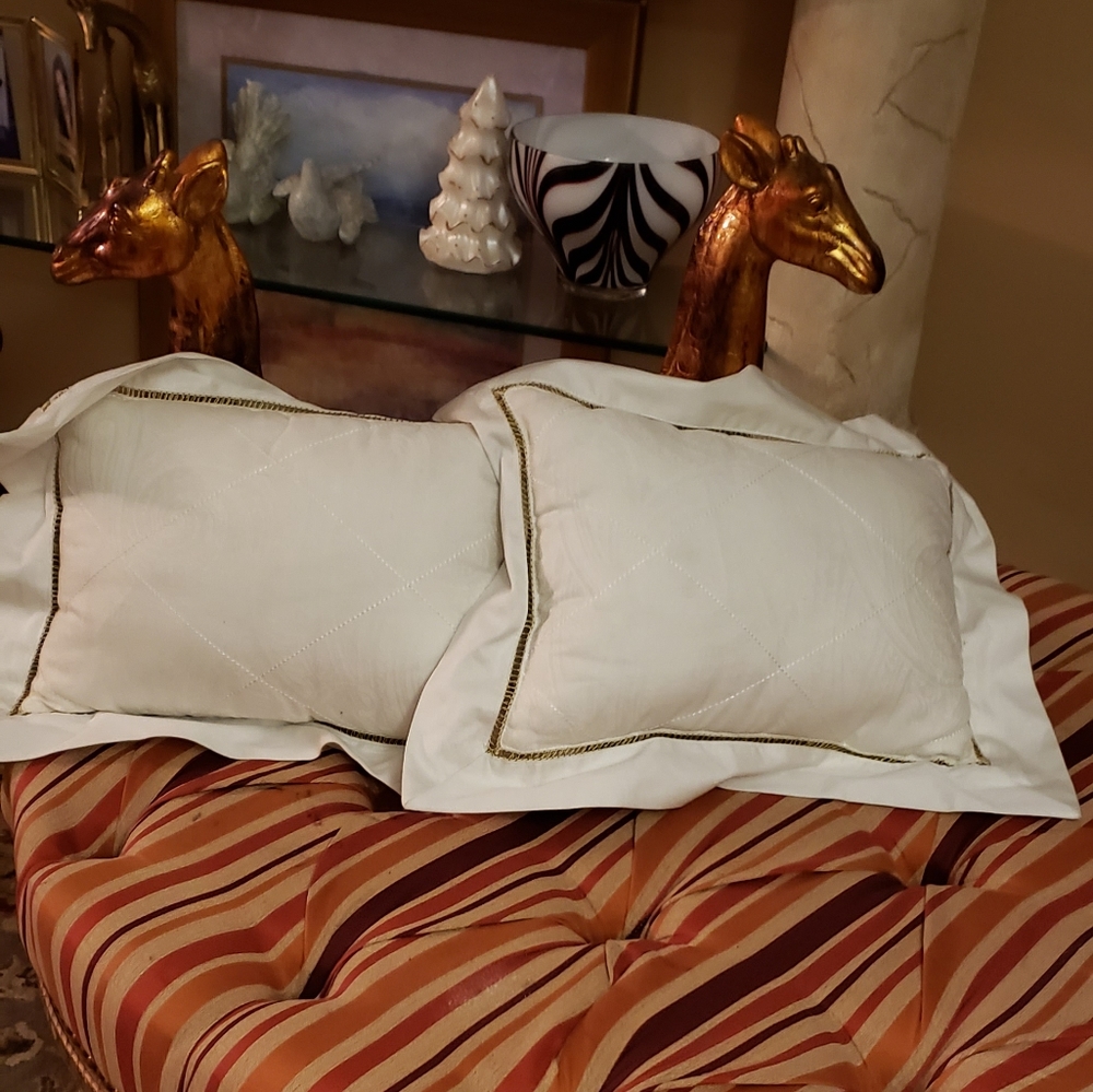 2 JM  Decorative Pillows.